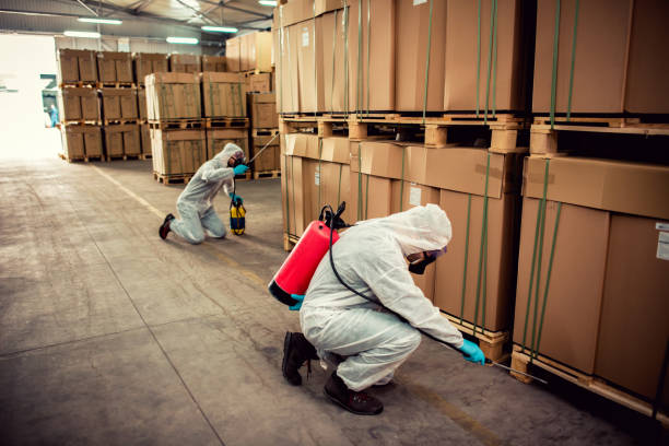 Best Mosquito Control Services  in North York, PA