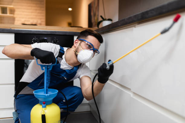 Best Wasp Removal Services  in North York, PA