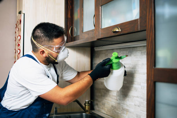 Best Termite Control Services  in North York, PA