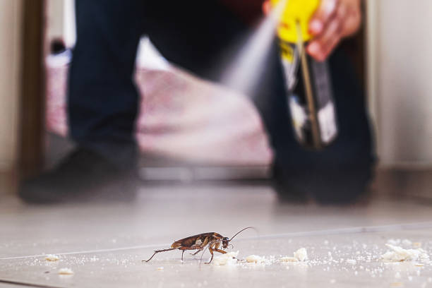 Wildlife Control Services in North York, PA