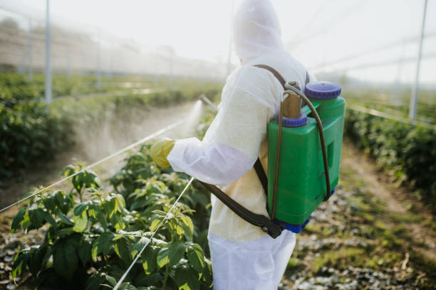 Best Pest Inspection Near Me  in North York, PA